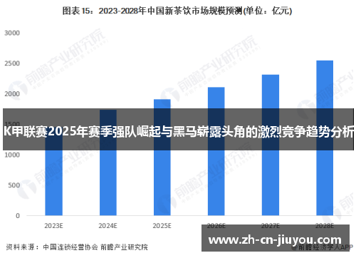 K甲联赛2025年赛季强队崛起与黑马崭露头角的激烈竞争趋势分析