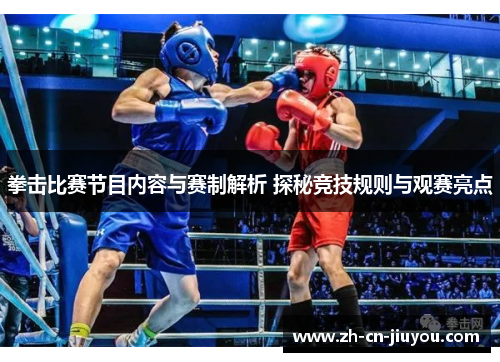 拳击比赛节目内容与赛制解析 探秘竞技规则与观赛亮点