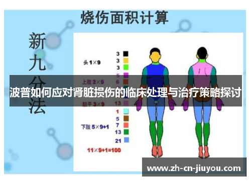 波普如何应对肾脏损伤的临床处理与治疗策略探讨