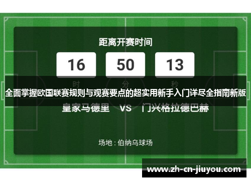 全面掌握欧国联赛规则与观赛要点的超实用新手入门详尽全指南新版