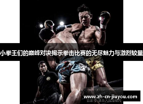 小拳王们的巅峰对决揭示拳击比赛的无尽魅力与激烈较量