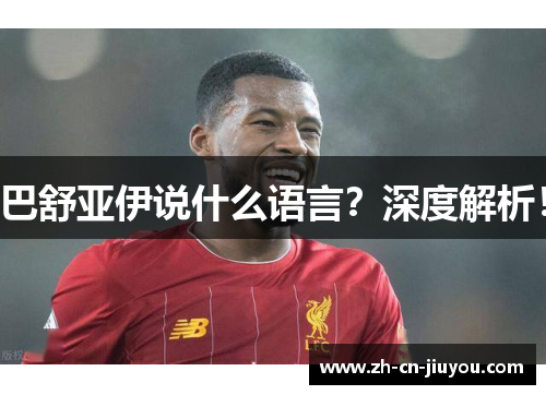 巴舒亚伊说什么语言？深度解析！