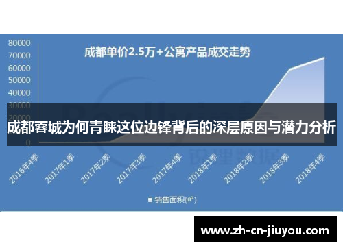 成都蓉城为何青睐这位边锋背后的深层原因与潜力分析