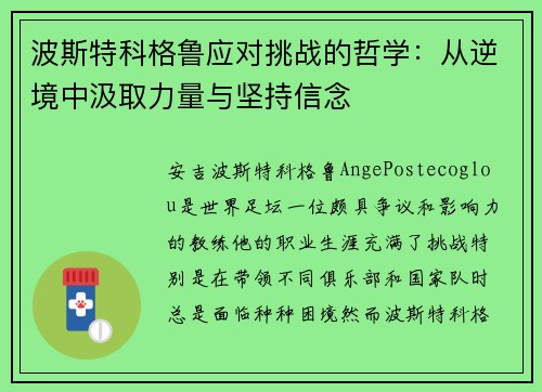 波斯特科格鲁应对挑战的哲学：从逆境中汲取力量与坚持信念