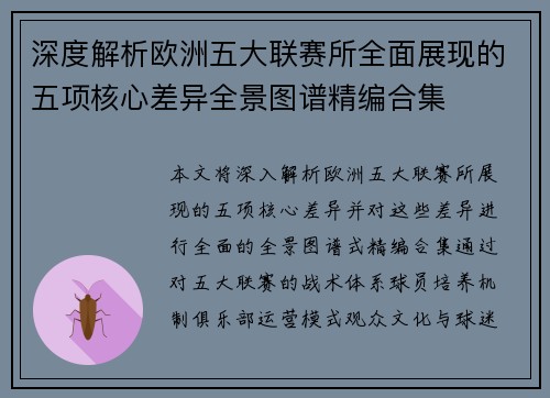 深度解析欧洲五大联赛所全面展现的五项核心差异全景图谱精编合集